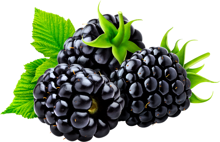 Cutout of Blackberries